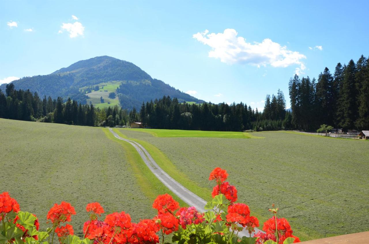 Pension Woetzinghof Kirchberg in Tirol Zewnętrze zdjęcie