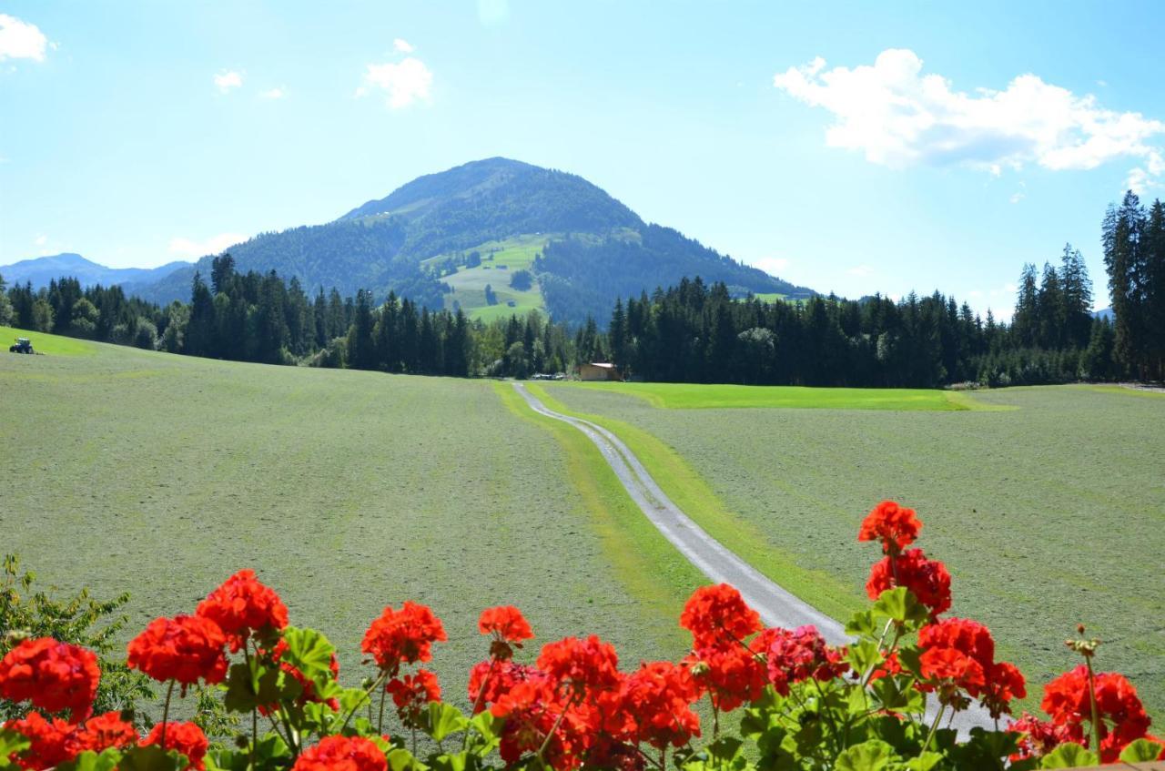 Pension Woetzinghof Kirchberg in Tirol Zewnętrze zdjęcie