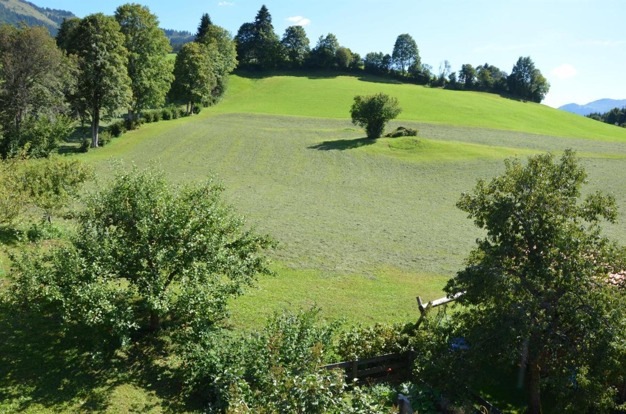 Pension Woetzinghof Kirchberg in Tirol Zewnętrze zdjęcie