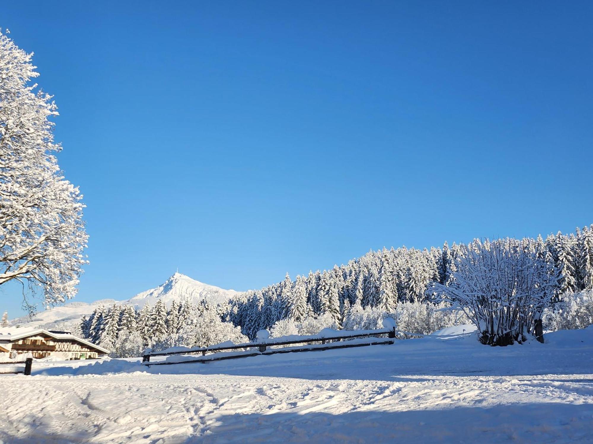 Pension Woetzinghof Kirchberg in Tirol Zewnętrze zdjęcie