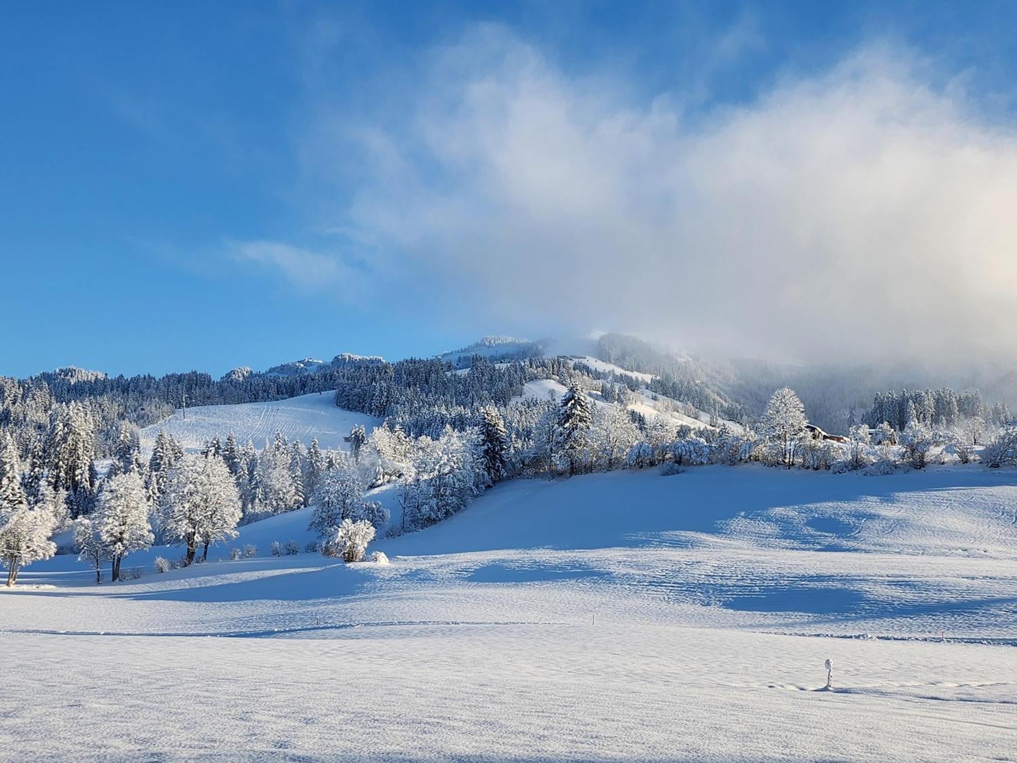 Pension Woetzinghof Kirchberg in Tirol Zewnętrze zdjęcie