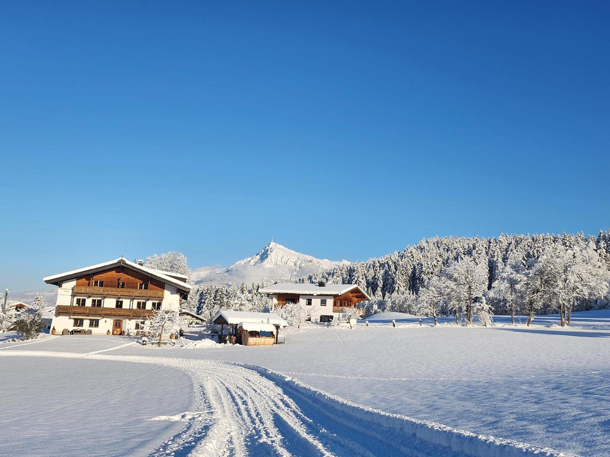 Pension Woetzinghof Kirchberg in Tirol Zewnętrze zdjęcie
