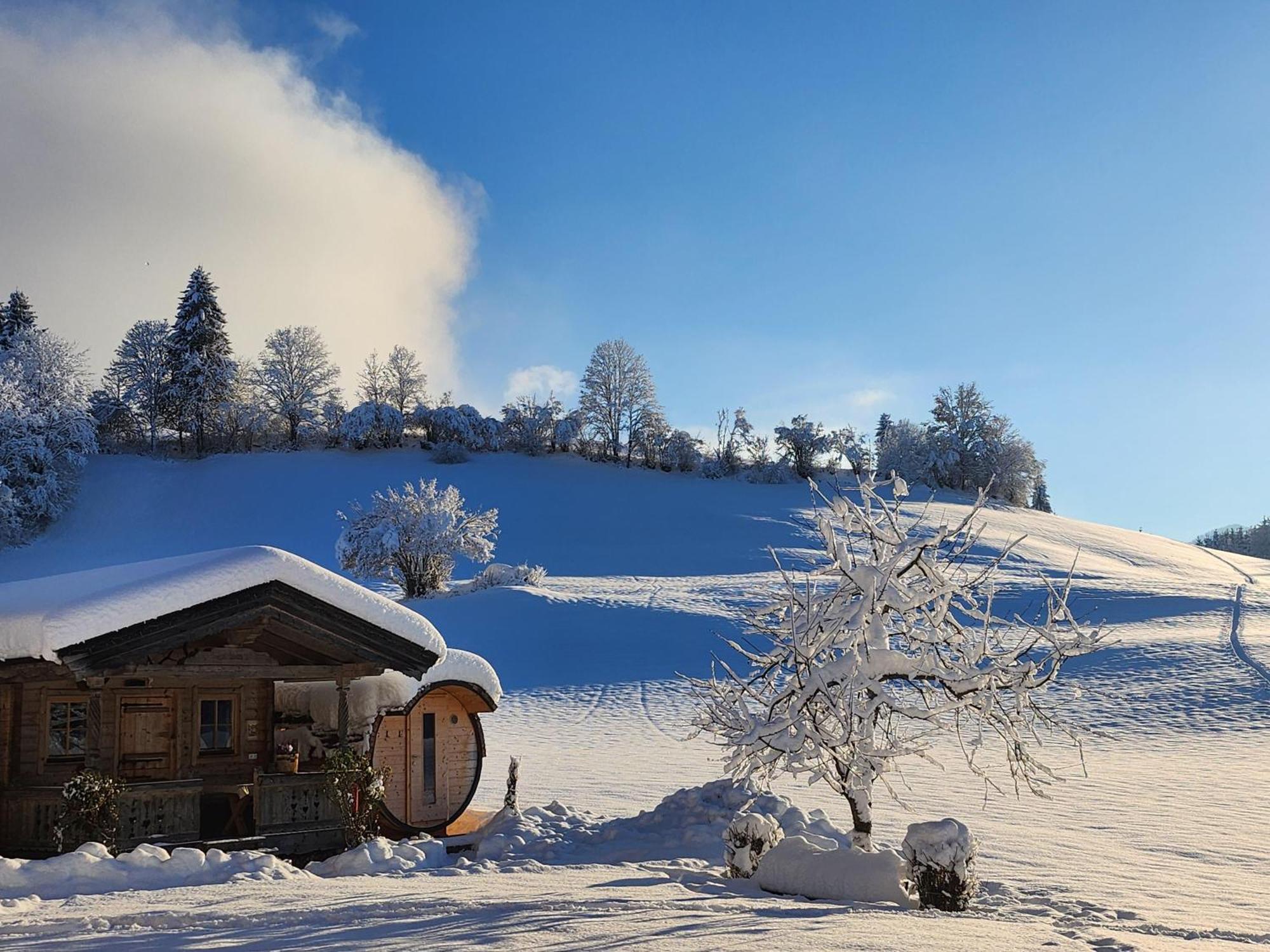 Pension Woetzinghof Kirchberg in Tirol Zewnętrze zdjęcie