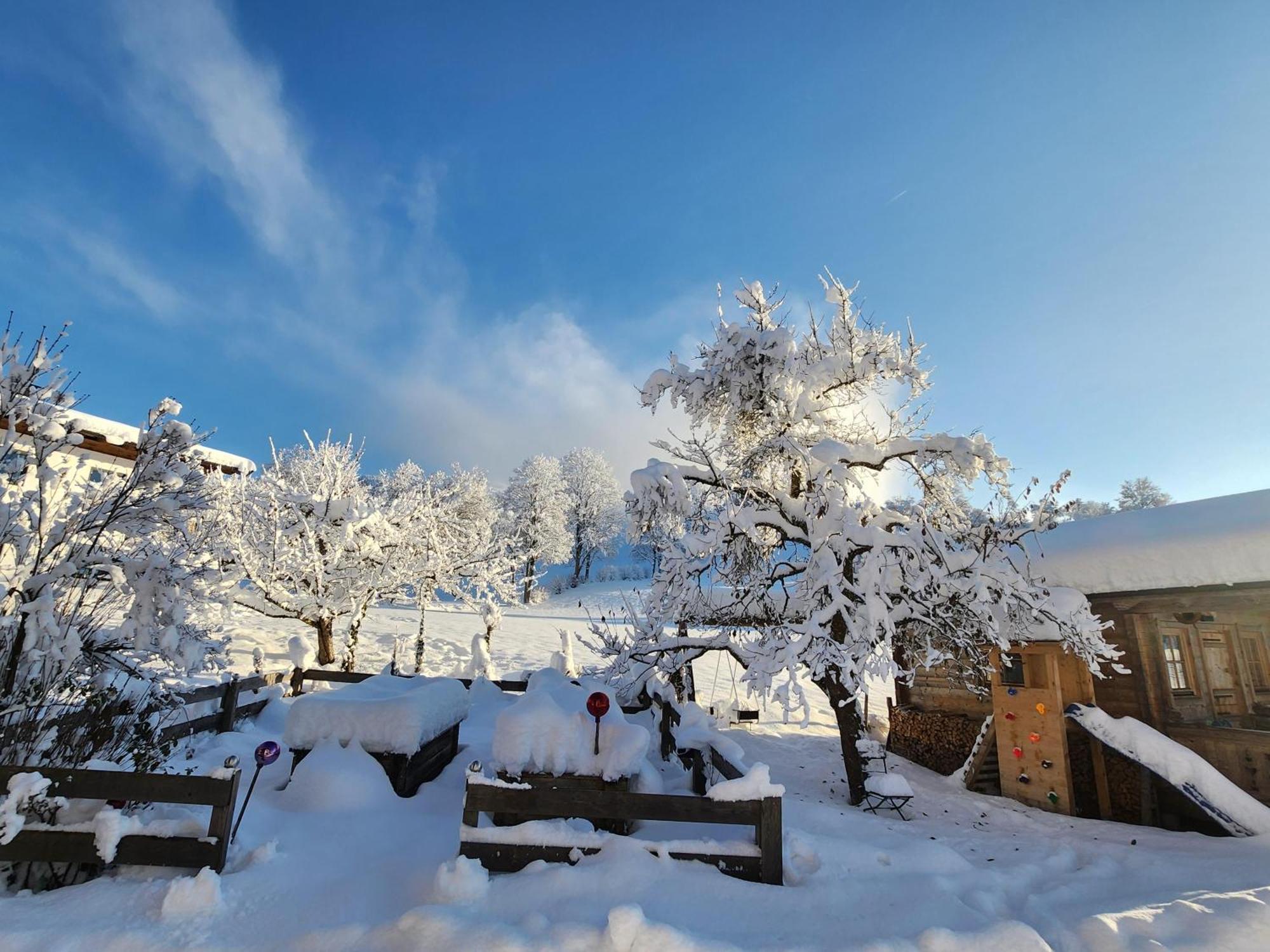 Pension Woetzinghof Kirchberg in Tirol Zewnętrze zdjęcie