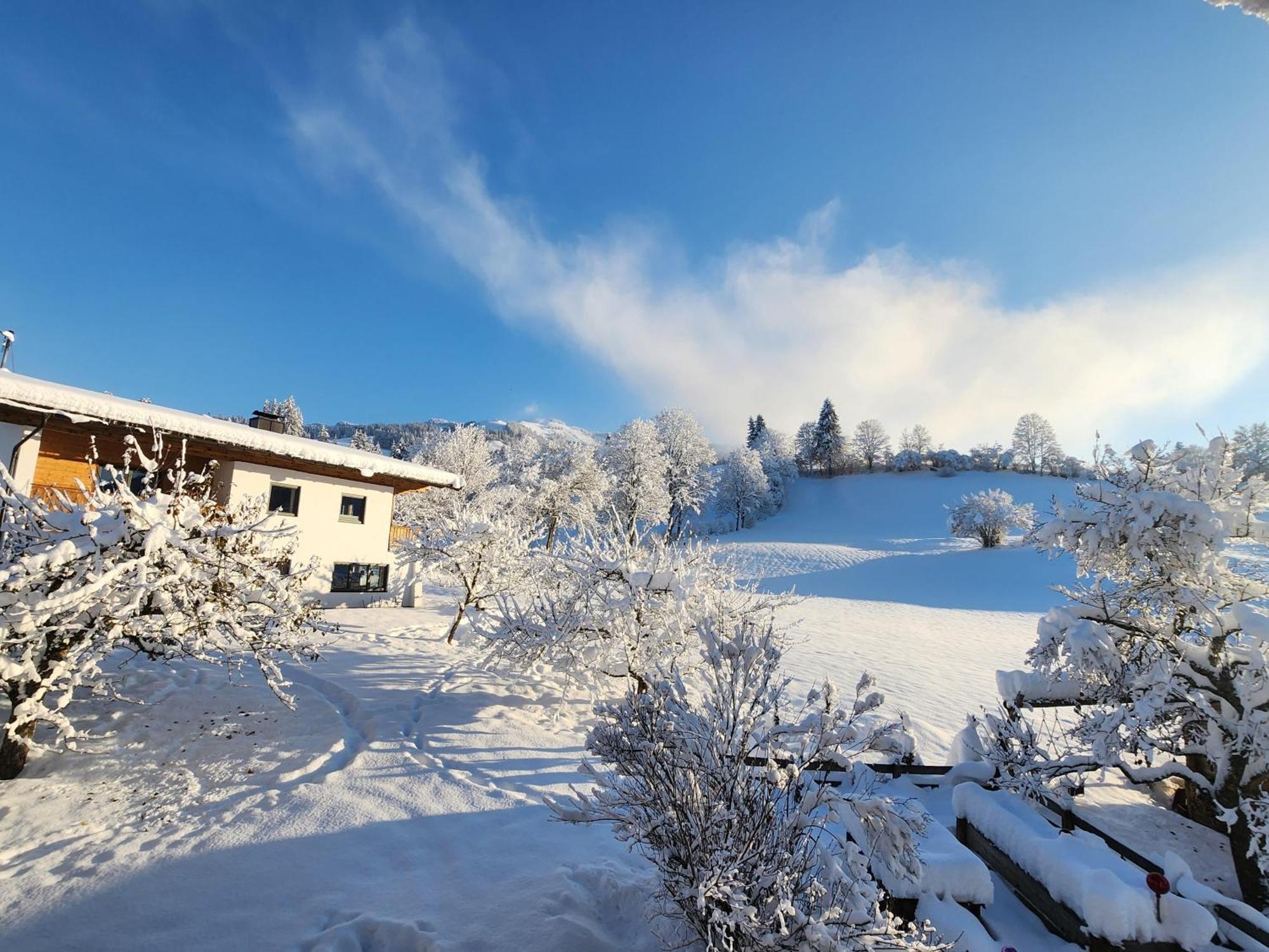 Pension Woetzinghof Kirchberg in Tirol Zewnętrze zdjęcie