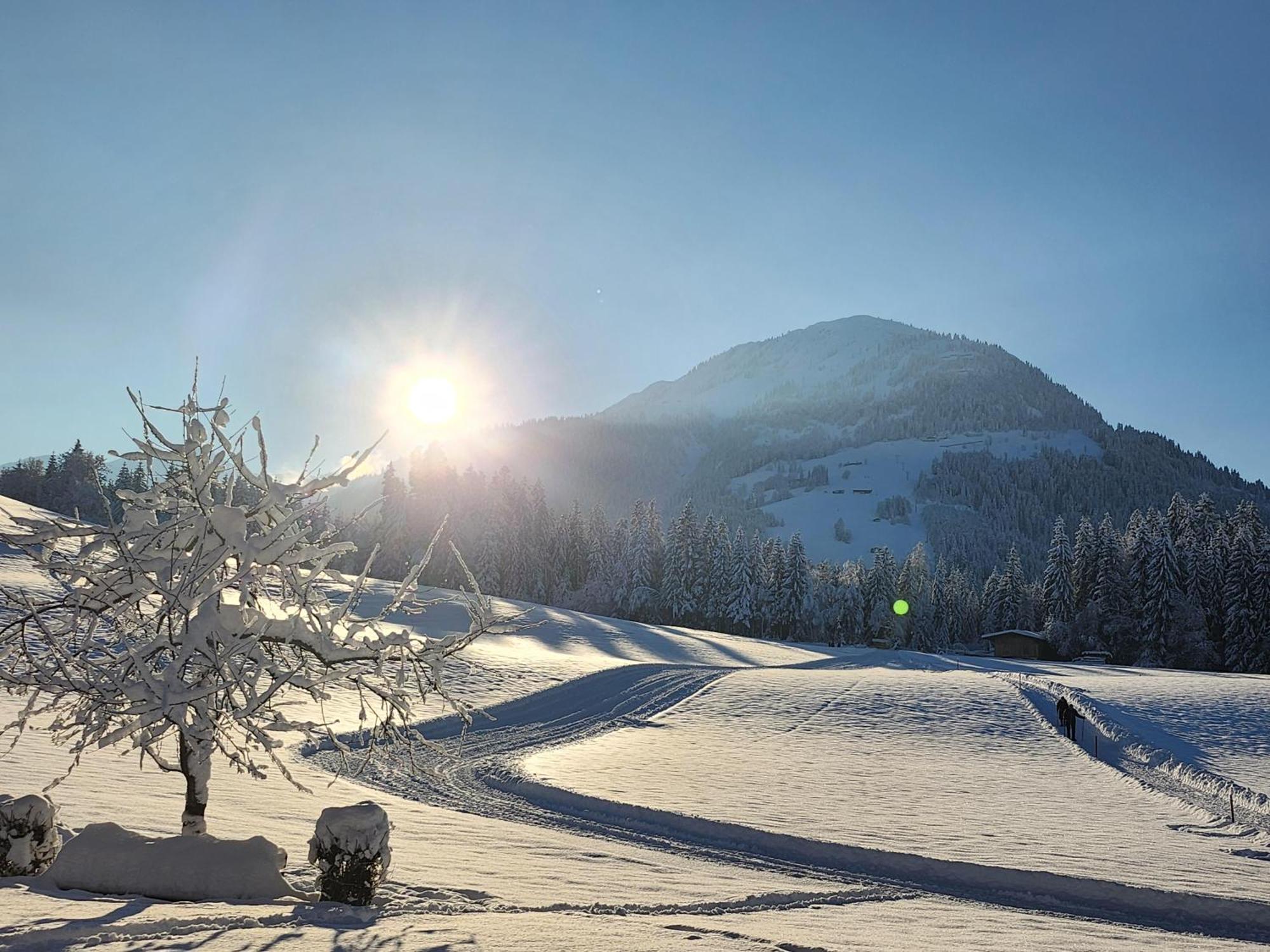 Pension Woetzinghof Kirchberg in Tirol Zewnętrze zdjęcie