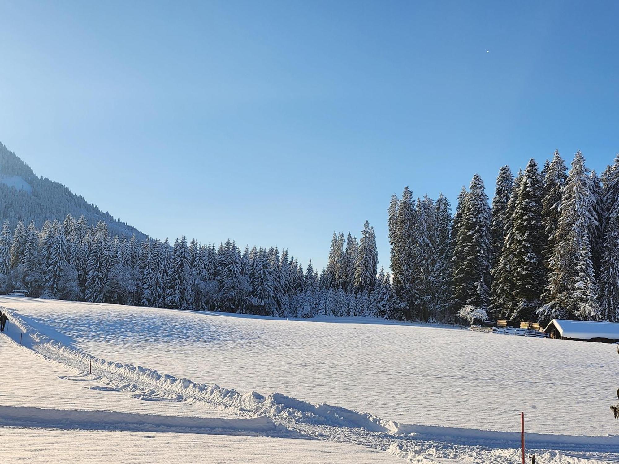 Pension Woetzinghof Kirchberg in Tirol Zewnętrze zdjęcie