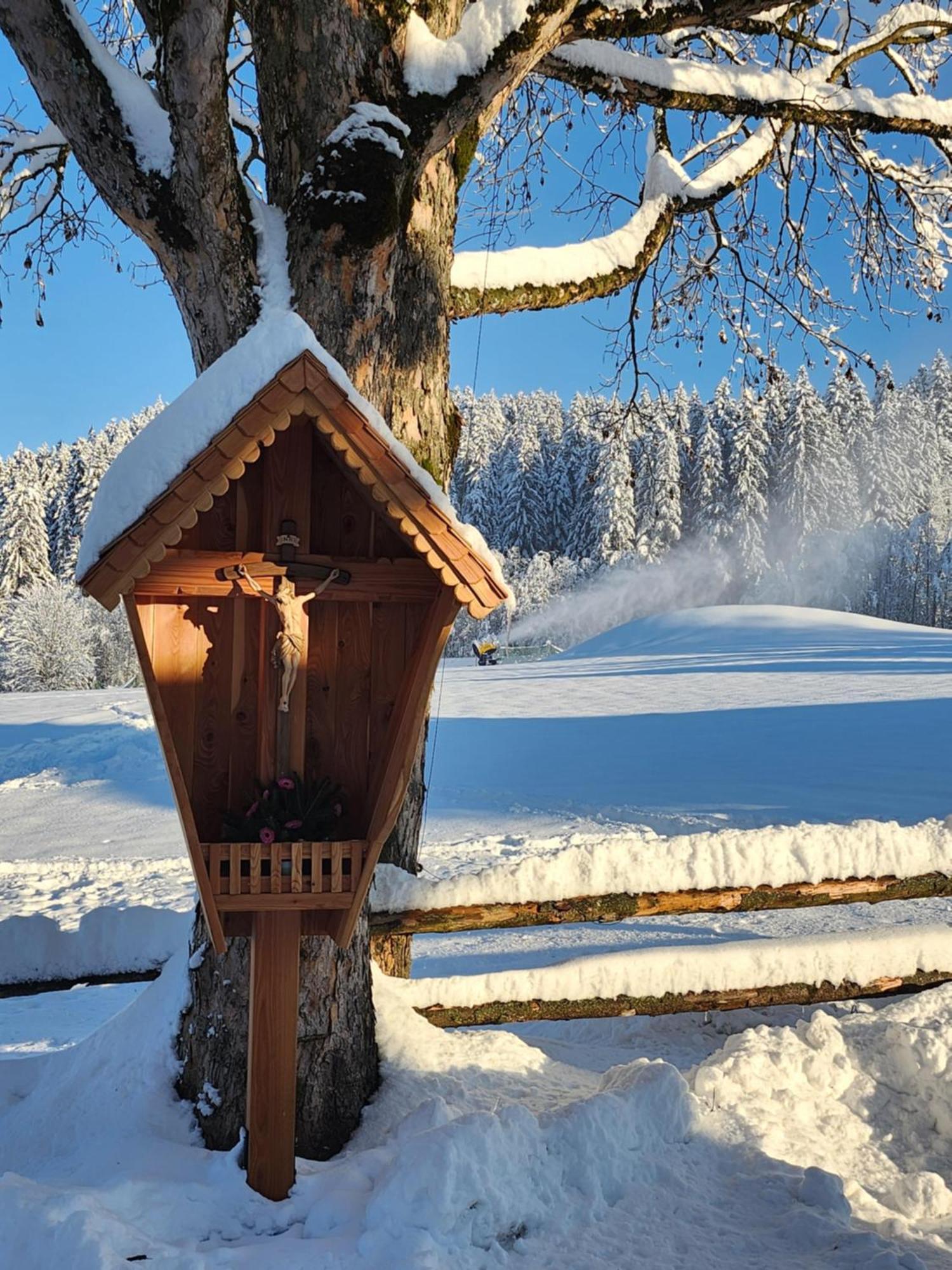 Pension Woetzinghof Kirchberg in Tirol Zewnętrze zdjęcie