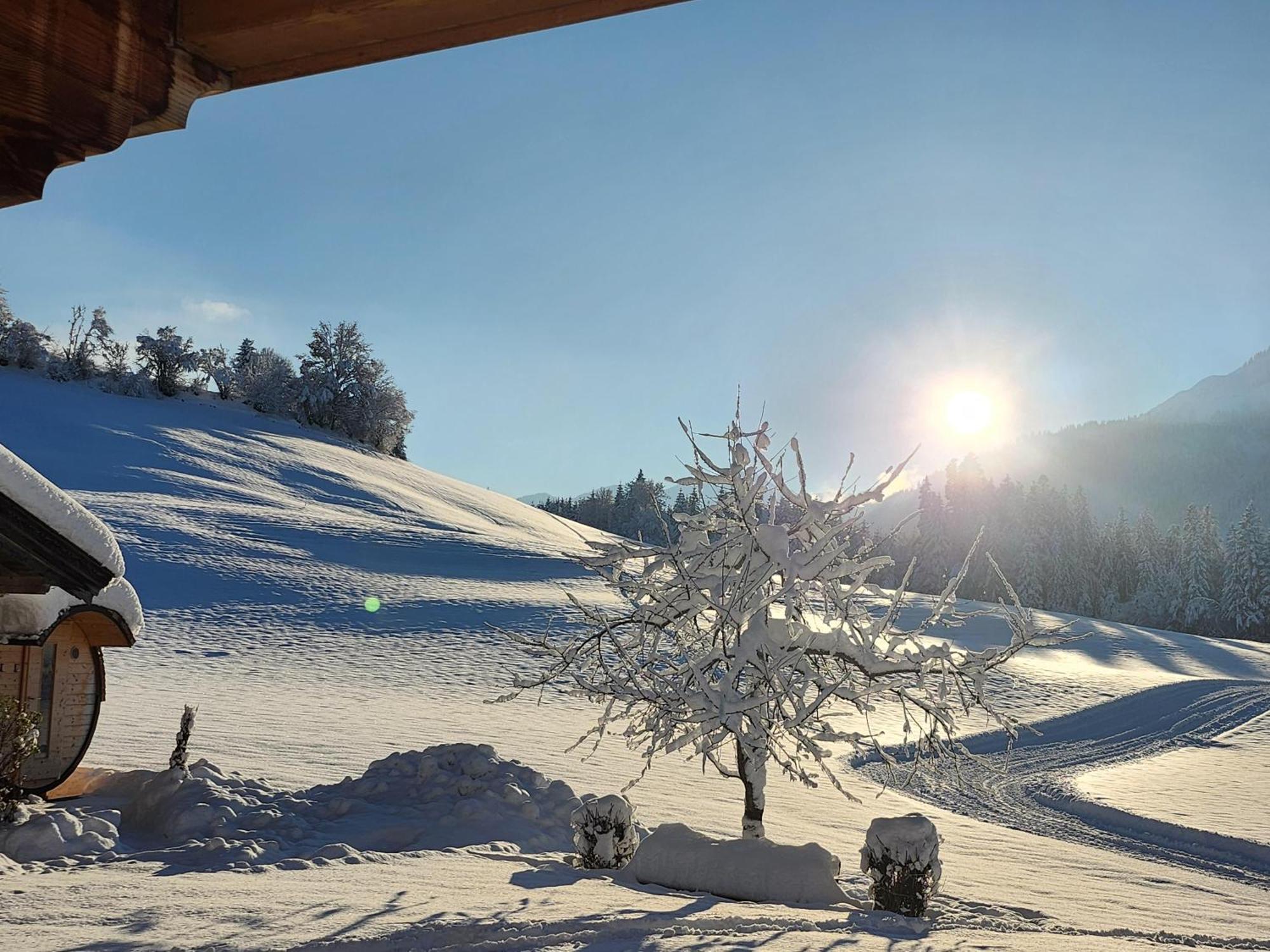 Pension Woetzinghof Kirchberg in Tirol Zewnętrze zdjęcie
